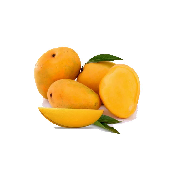 Picture of Indian Mango Himayat Case