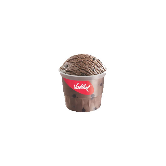 Picture of Vadilal Chocolate Ice Cream - 100ml