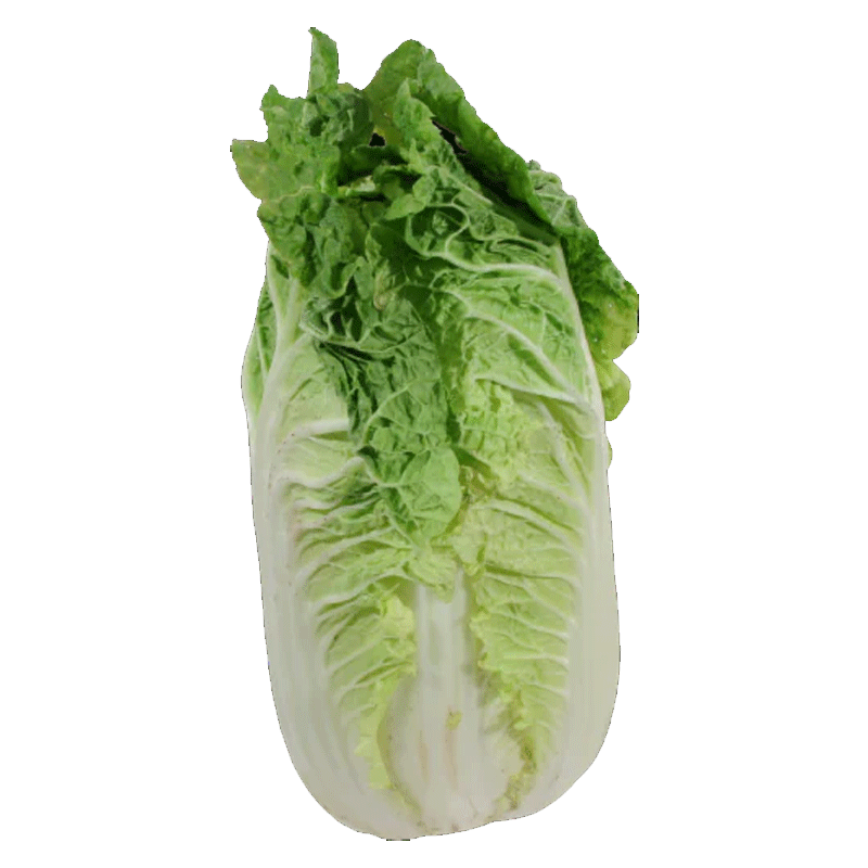 Picture of Organic Cabbage Napa - lb