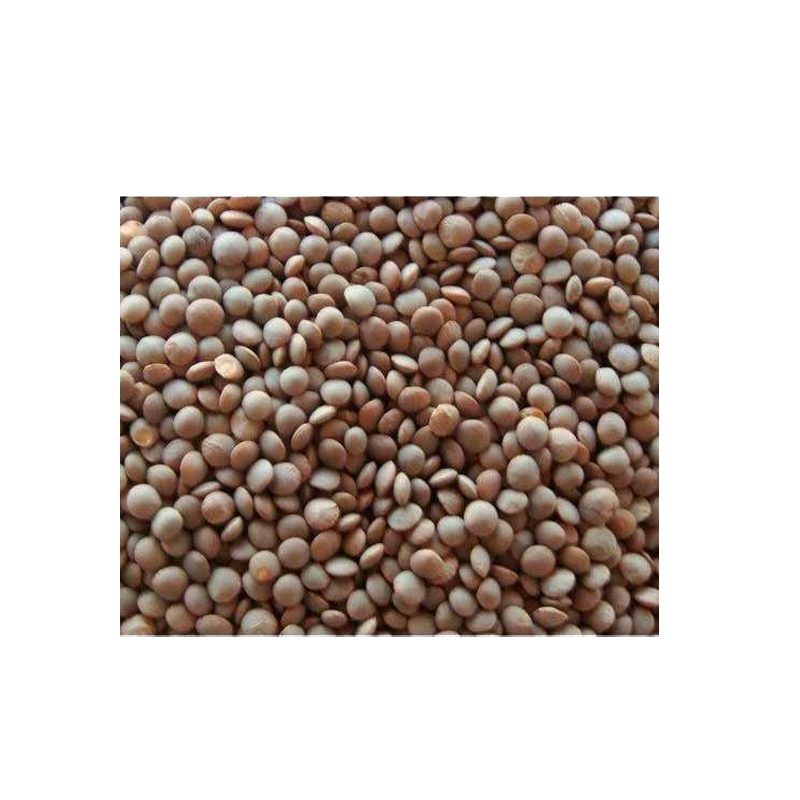 Picture of Hathi Whole Masoor - 2lb