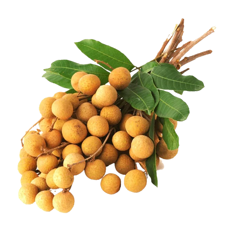 Picture of Longan Fruit - lb