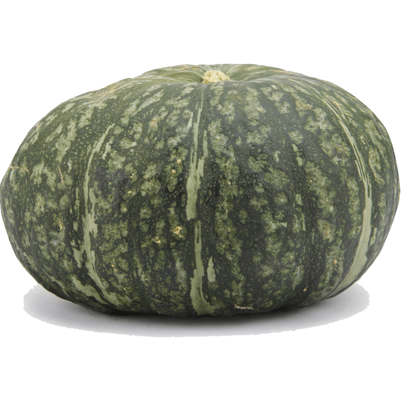 Picture of Organic Kabocha Squash - lb