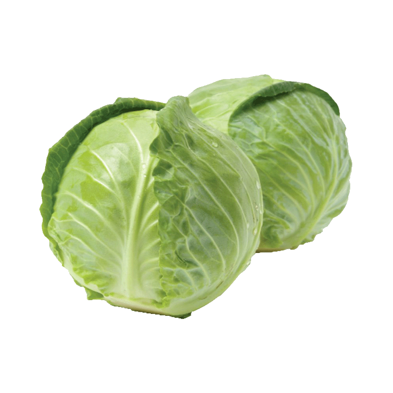 Picture of Organic Cabbage Green - lb