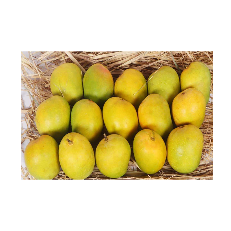 Picture of Indian Mango Alphonso Case