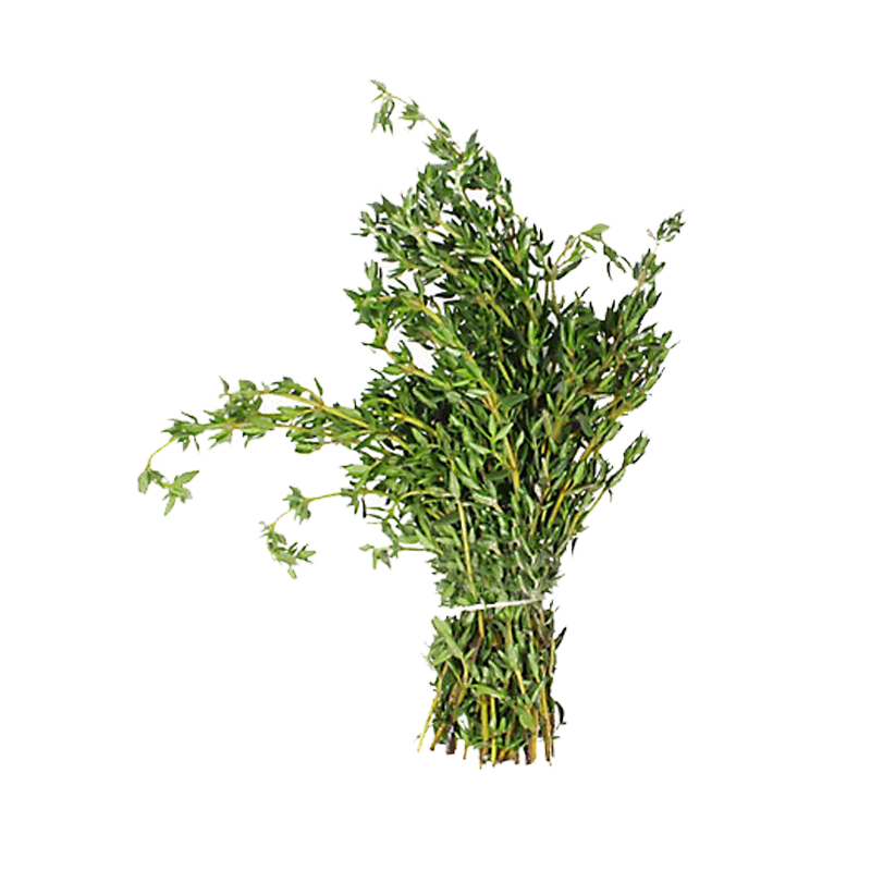 Picture of Rosemary Fresh - EA