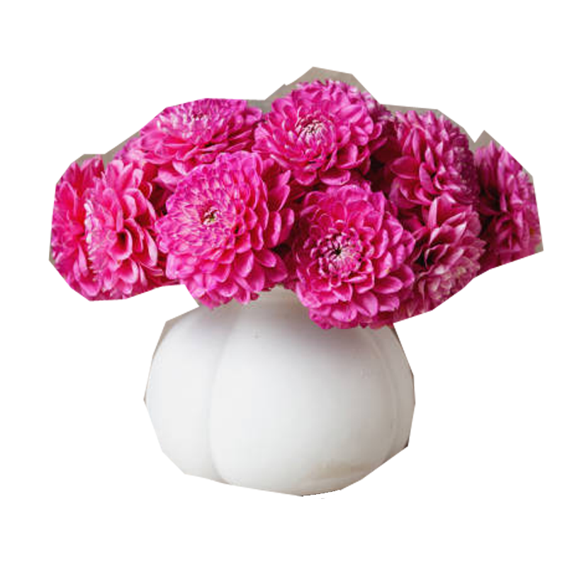 Picture of Fresh Dahila Flower Bouquet - Ea