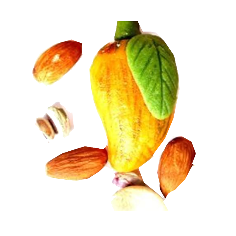 Picture of Gourmet Mango Almond & Pista Ice Cream FRZ - 16oz