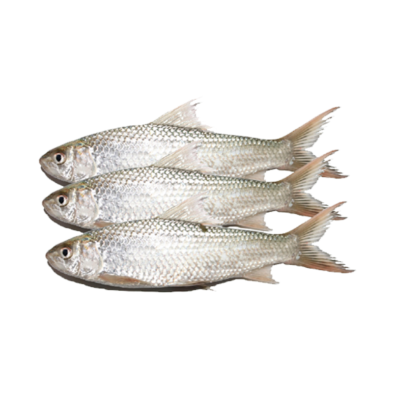 Picture of Bata Fish FRZ - 811g