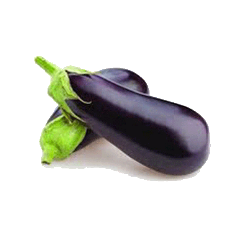 Picture of Eggplant American - EA