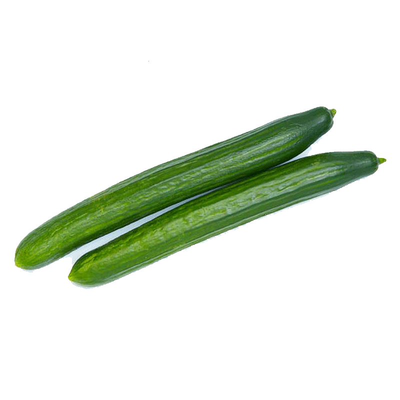 Picture of Sunset Organic English Cucumber - EA