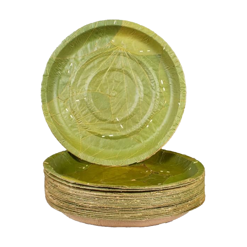 Picture of Bhoj Pathra Plates Big Leaves Pattal Plate - 25pcs