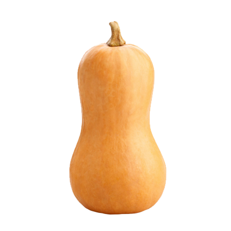 Picture of Butternut Squash - LB