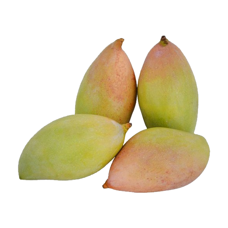 Picture of Mango Totapuri - EA