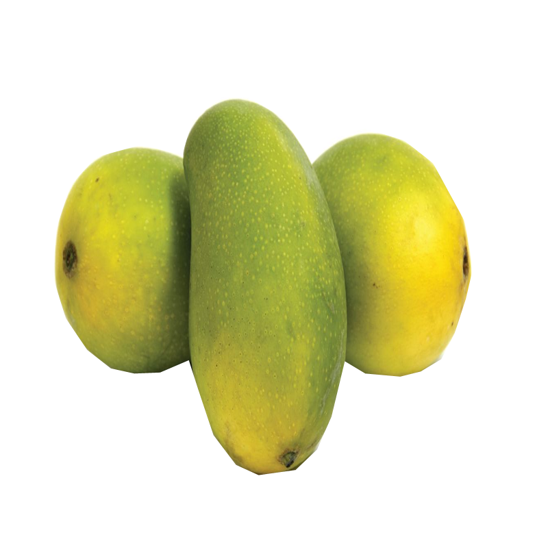 Picture of Indian Mango Mingolo - EA