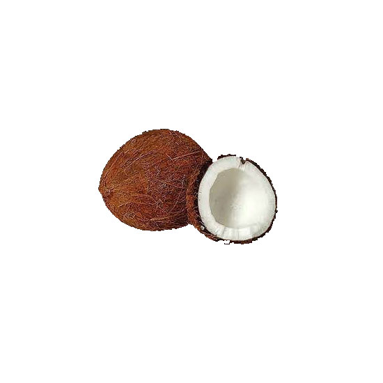 Picture of Coconut - EA