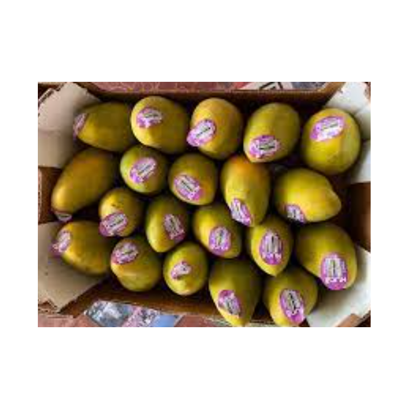Picture of Mango Honey Case - 12pc