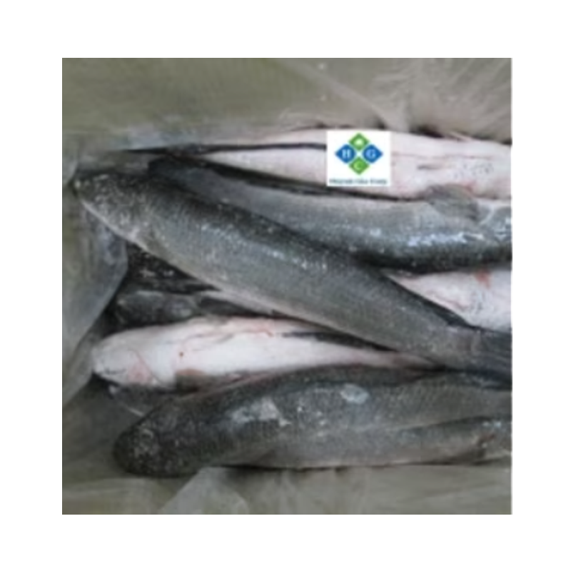 Picture of Shoal Fish FRZ - Lb