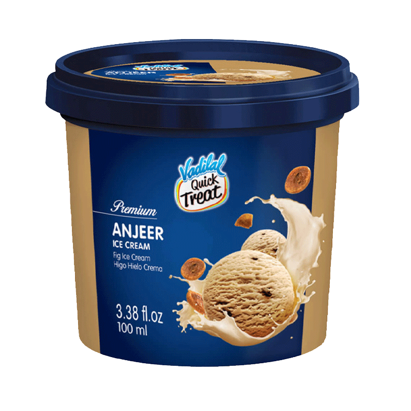 Picture of Vadilal Anjeer Tub Ice Cream FRZ - 140ml