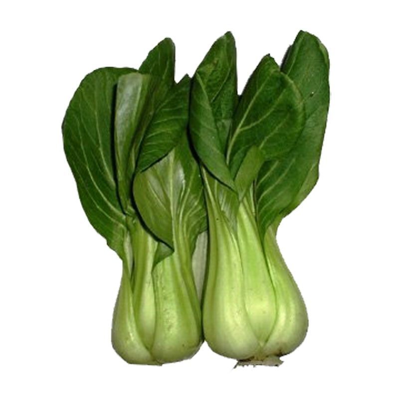 Picture of By the Farm Fresh Baby Bok Choy - 16oz