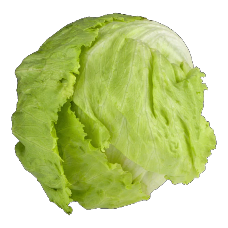 Picture of Iceberg Lettuce - 1ct