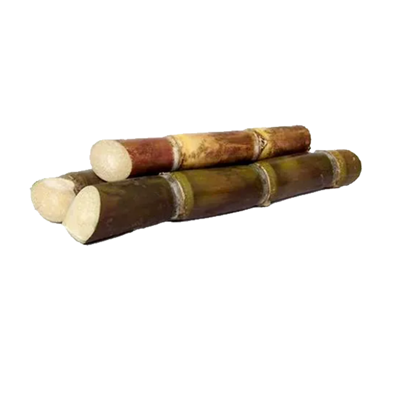 Picture of Sugarcane Fresh Whole - EA