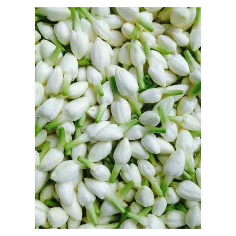 Picture of Fresh Indian Jasmine Loose - Pkt