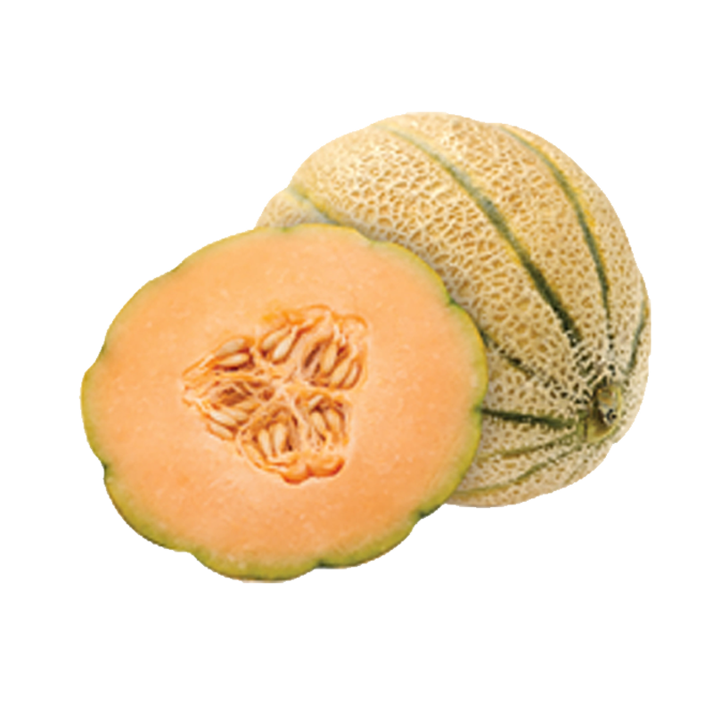Picture of Tuscan Cantaloupe - lb