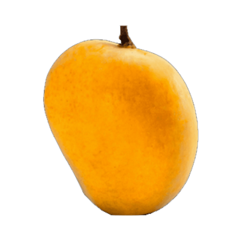 Picture of Indian Mango Alphonso - EA