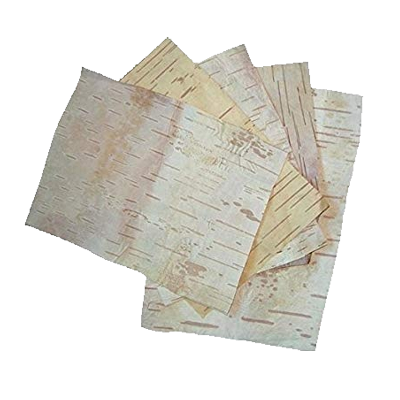 Picture of Bhoj Pathra Plate Midium - 5pc
