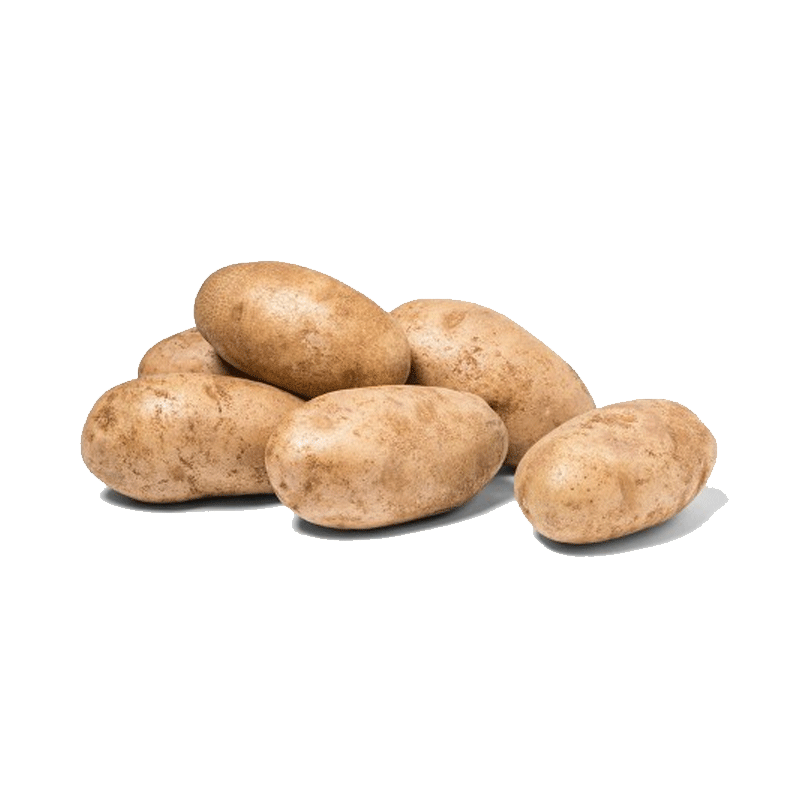 Picture of Organic Potato Russet - 3lb