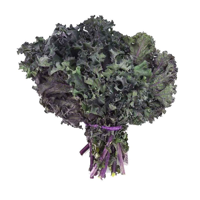 Picture of Organic Kale Red - EA