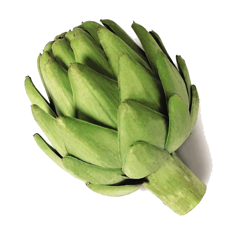 Picture of Organic Artichoke - EA