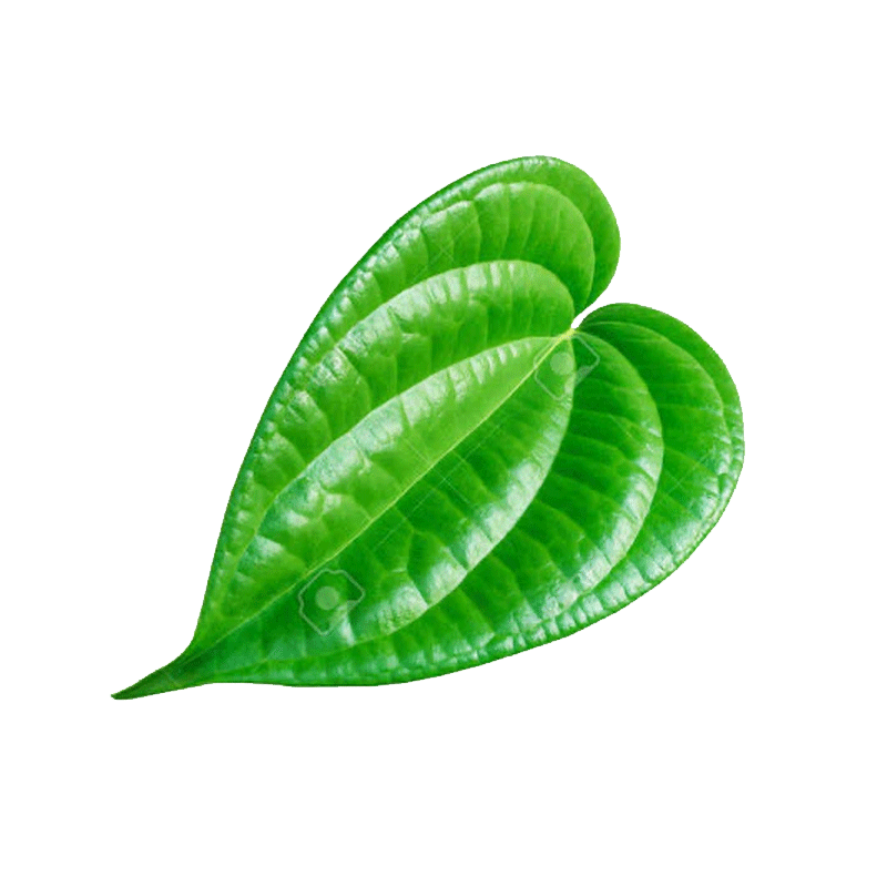 Picture of Paan Leaves - EA