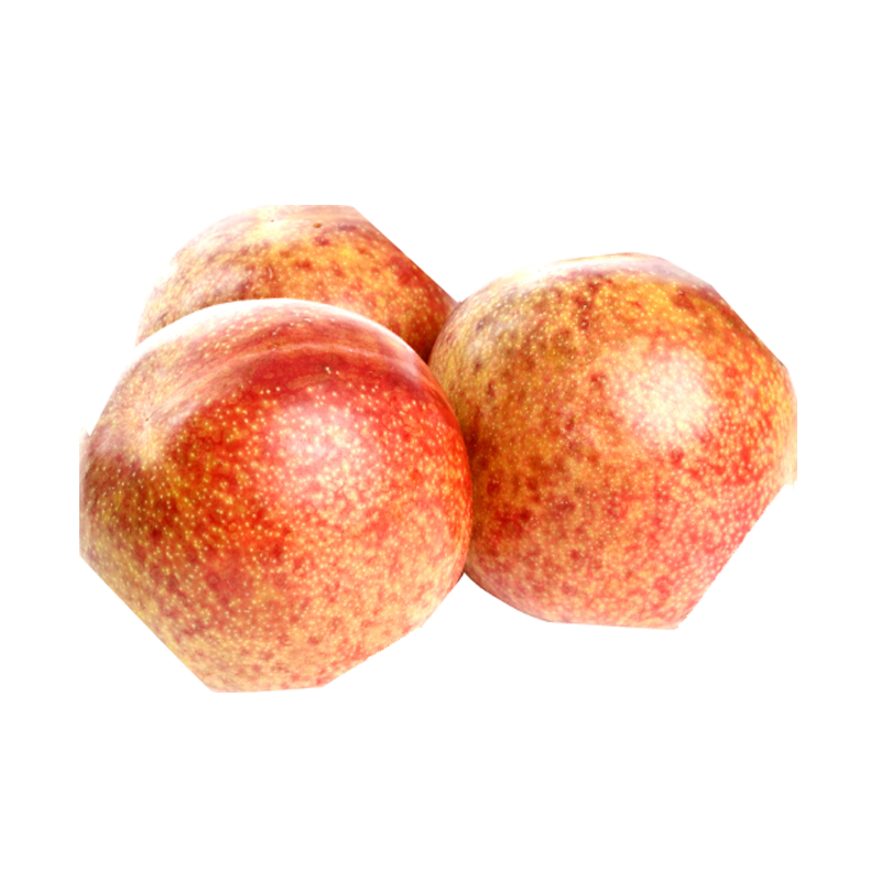 Picture of Pluot - lb