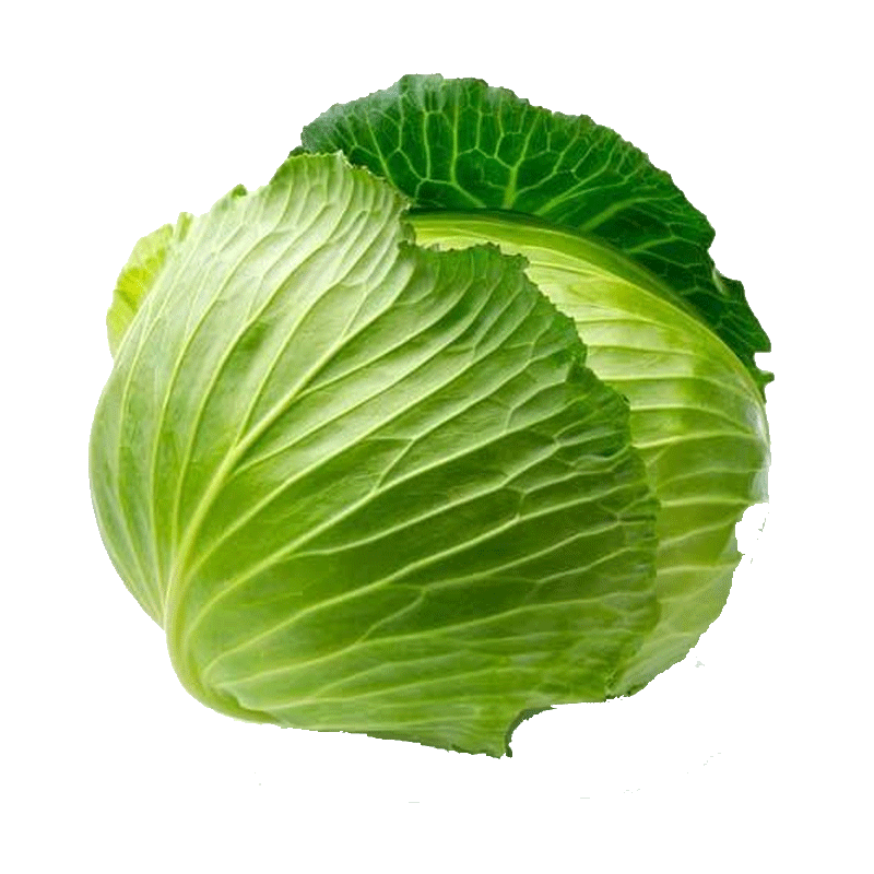 Picture of Cabbage - lb