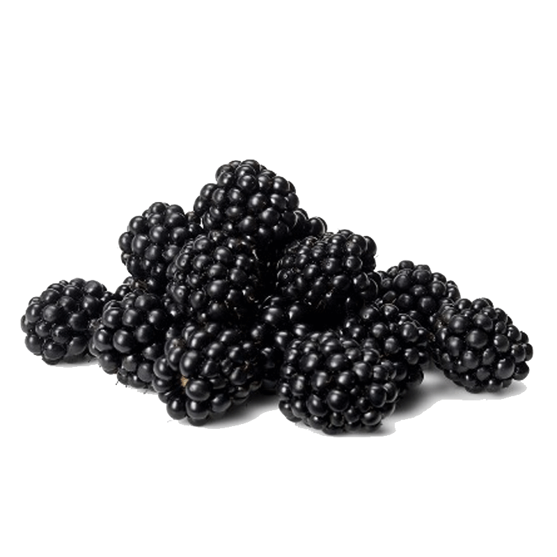 Picture of Driscolls Organic Blackberries - 6oz