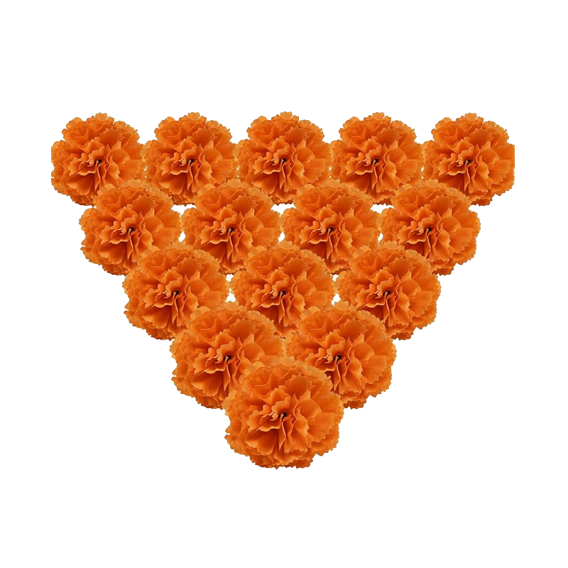 Picture of Bhupi Glass Carnation & Marigold - Ea