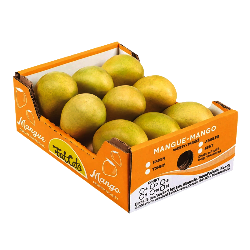 Picture of Indian Mango Mallika Case - 6pc