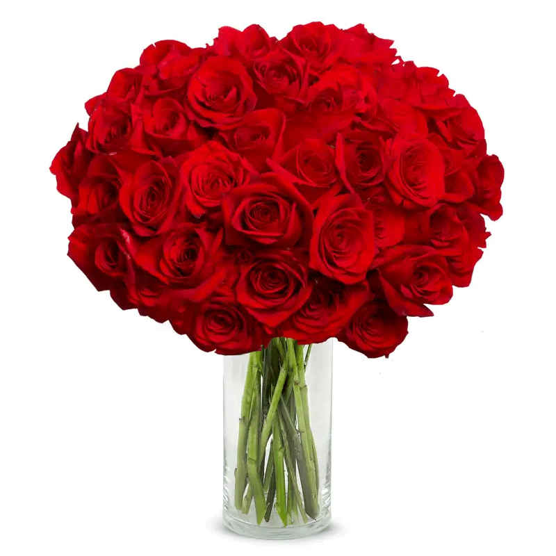 Picture of Fresh Rose - Ea