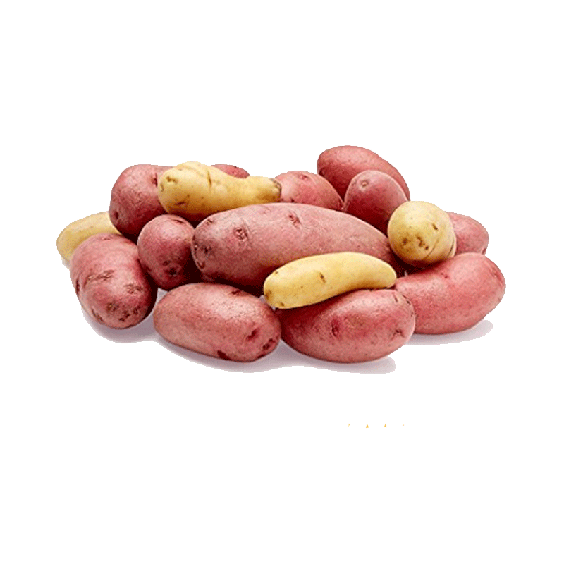 Picture of Organic Fingerling Medley Potatoes - 24oz