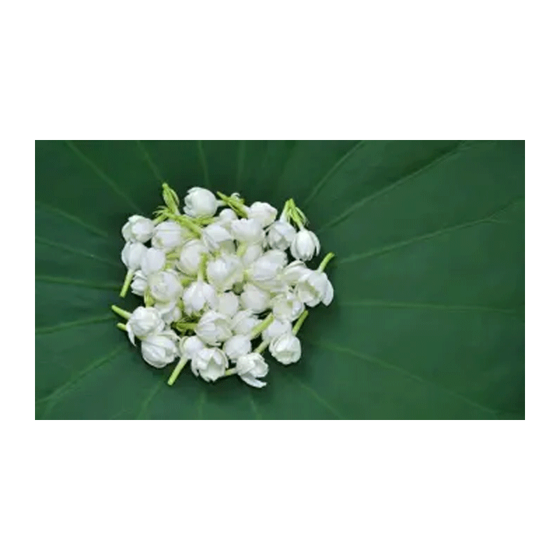 Picture of Fresh Erakum Poo with leaves Ganesh - Ea