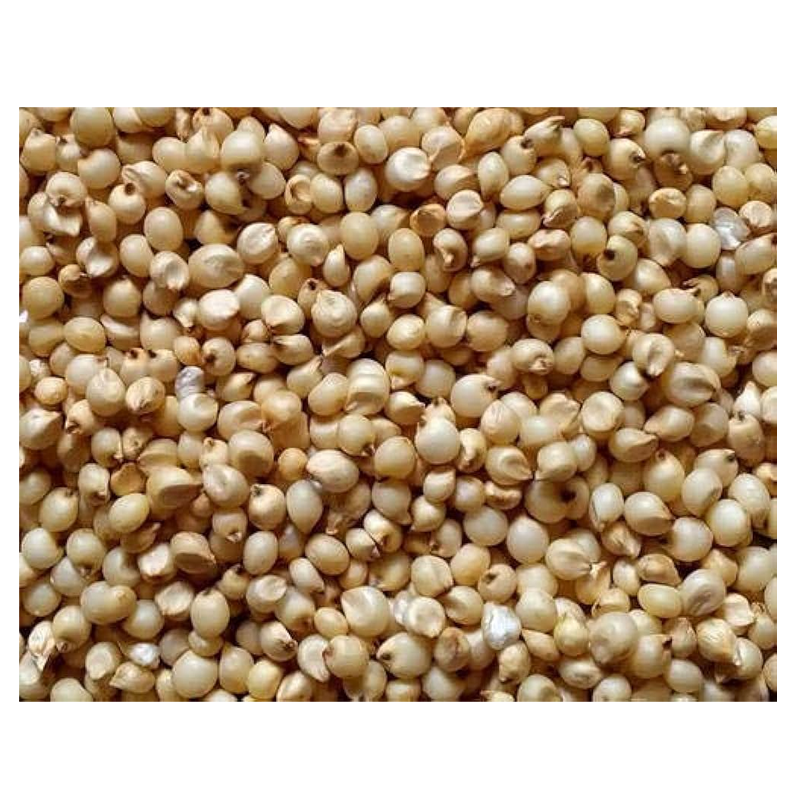 Picture of Jowar Seeds - 7oz