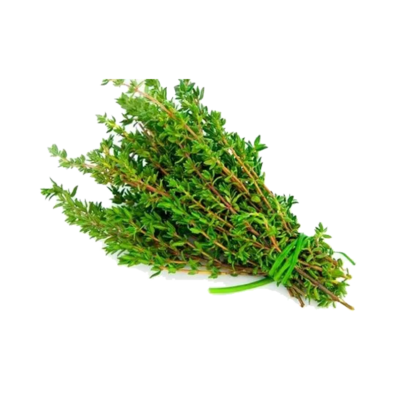 Picture of Fresh Thyme - EA