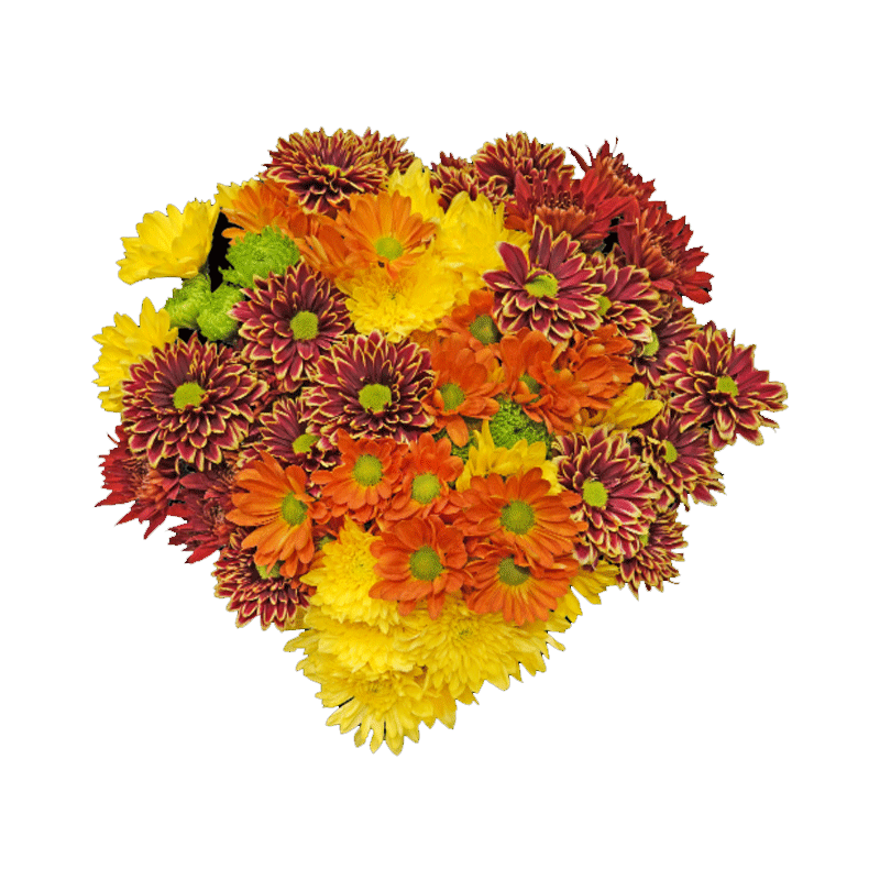 Picture of Fresh Poms Flower Bouquet - Ea