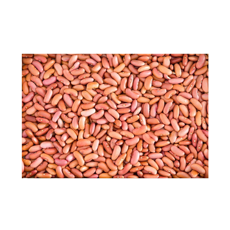 Picture of Mayuri Light Kidney Beans - 4lb