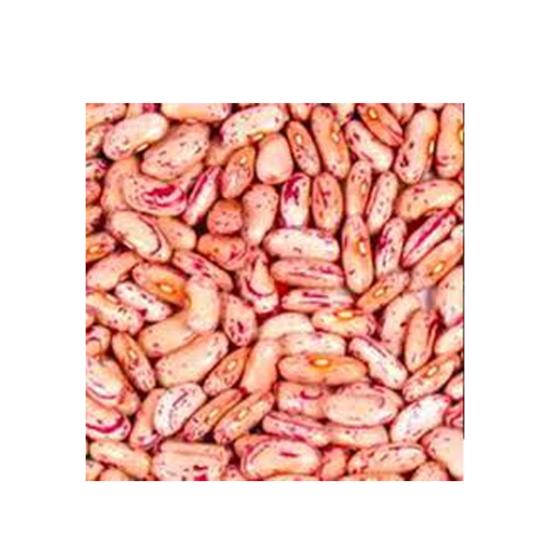 Picture of Hathi Kidney Bean light - 4lb
