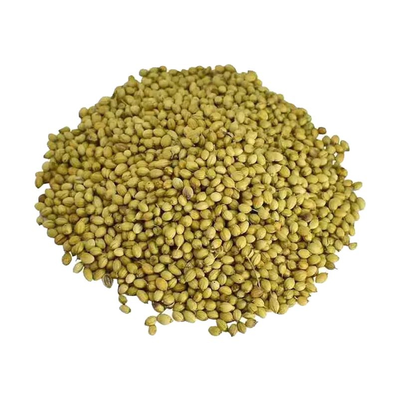 Picture of Mayuri Coriander Whole - 14oz