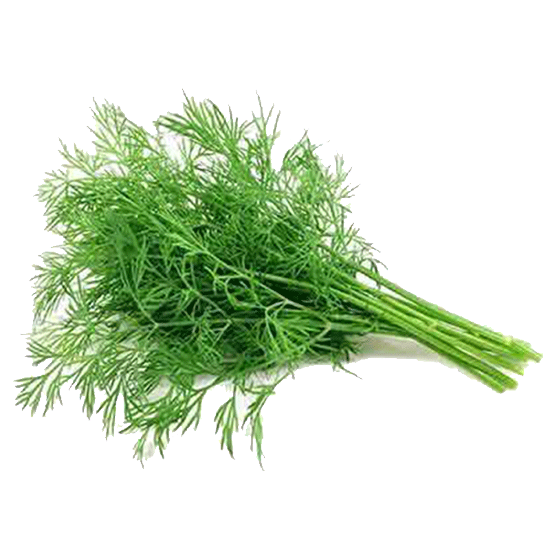 Picture of Organic Dill Leaves - EA