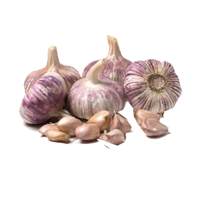 Picture of Fresh American Garlic Bunch - EA