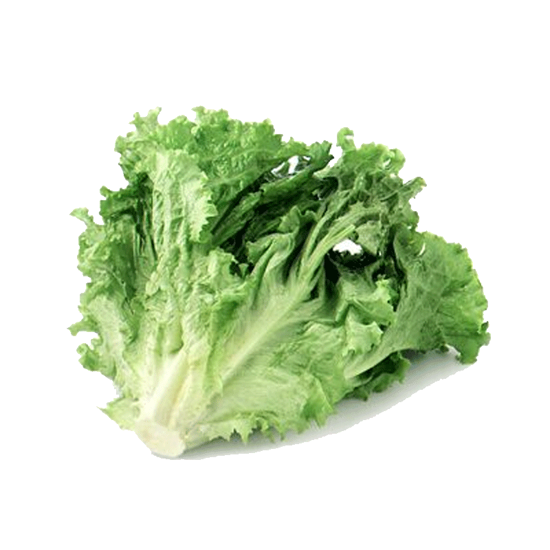 Picture of Organic Lettuce - EA